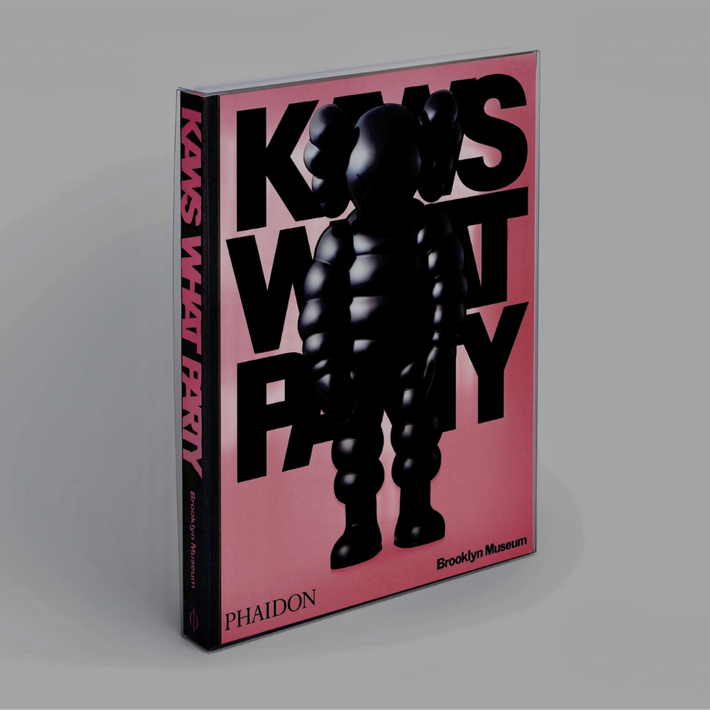Libro Kaws What Party