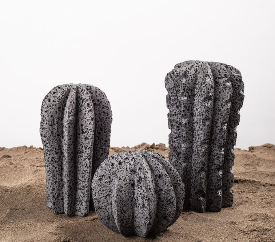Cactus de Piedra Volcánica