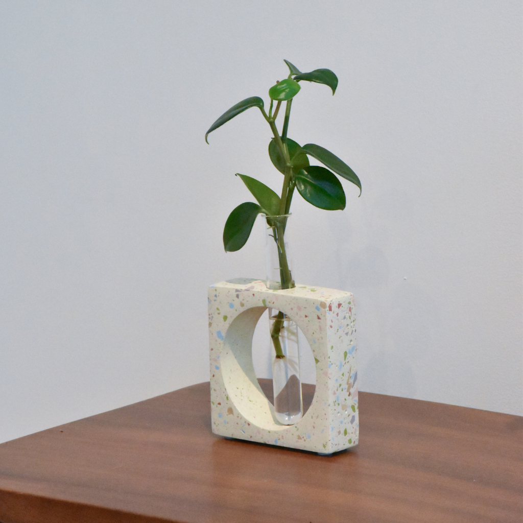 Florero Propagación Blanco