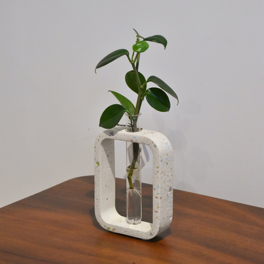 Florero Propagación Terrazo Colores