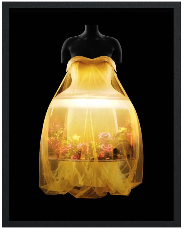 Libro Sleeping Beauties: Reawakening Fashion