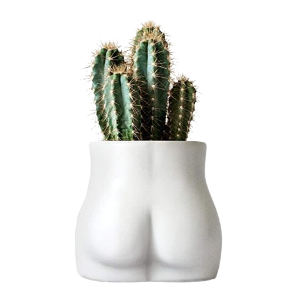 Booties 