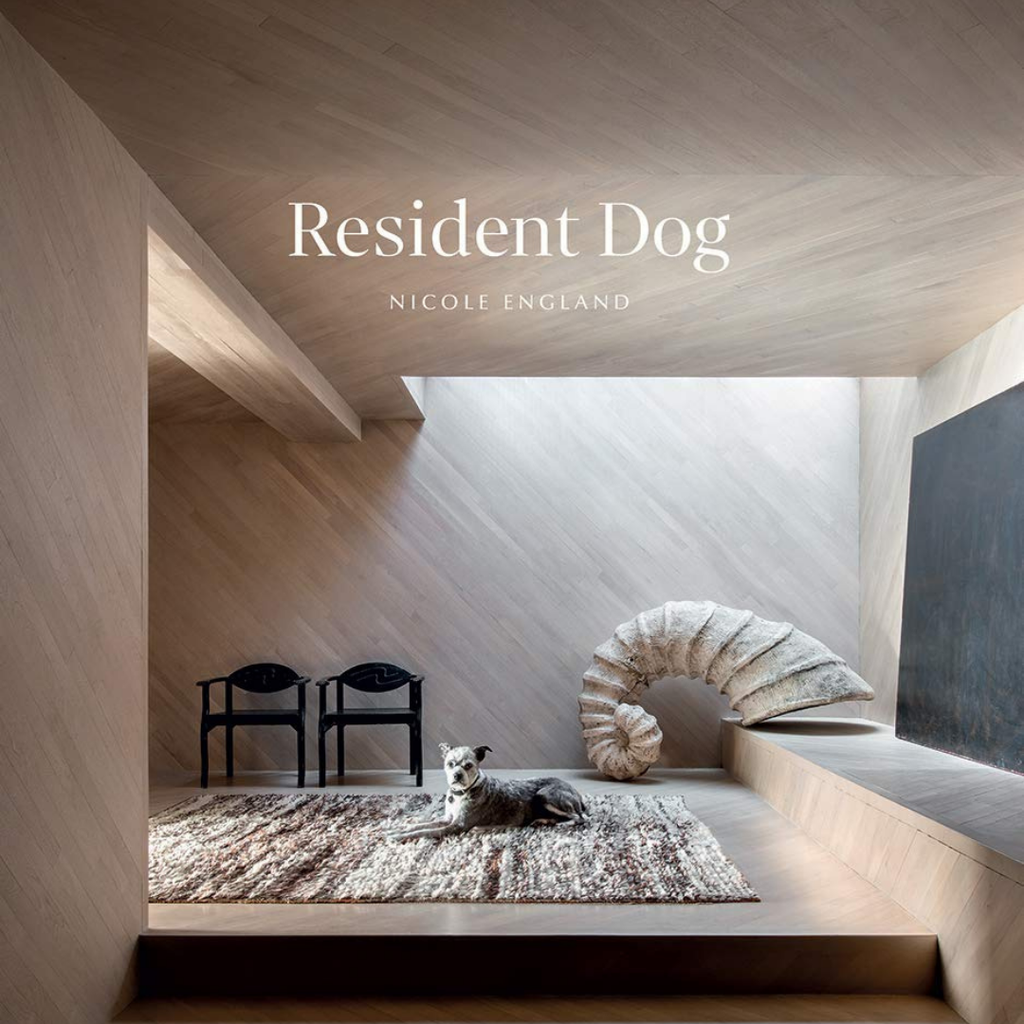 Libro Residen Dog