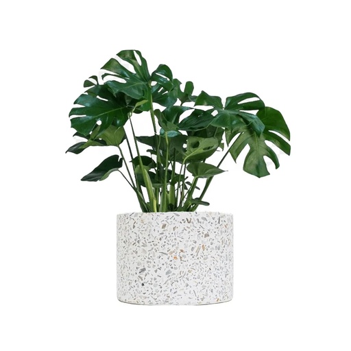 [M0026] Maceta circular mediana terrazo TERRACOTA