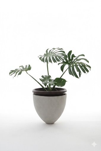 [M0020] Maceta cemento huevo extra grande - concreto reforzado