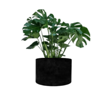 Maceta Unika Pequeña