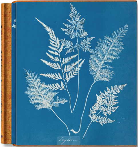 Libro Anna Atkins Cyanotypes