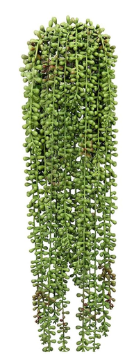 Sedum artificial (planta colgante)