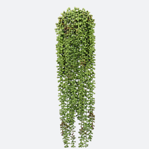 Sedum artificial (planta colgante)