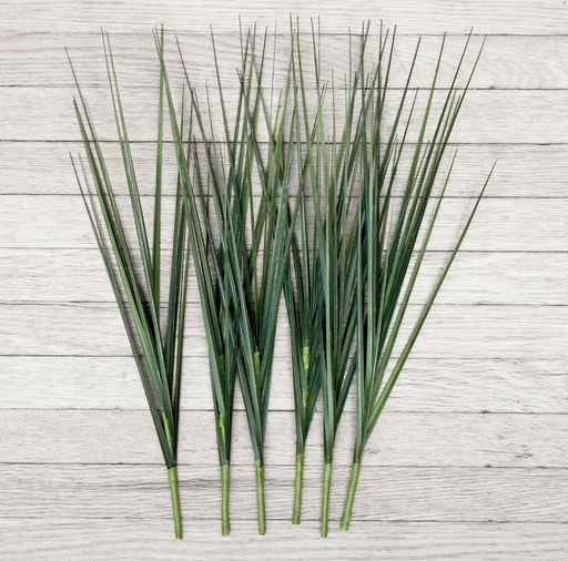 Hierba Cortada sin maceta (6 Tallos por rama)