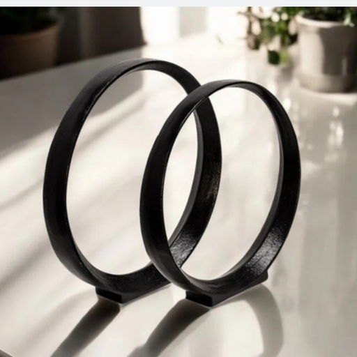Set of 2 Metal Ring  Circular Sculpture
