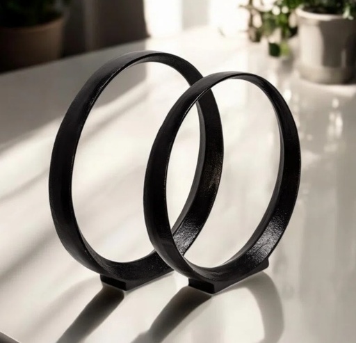 Set of 2 Metal Ring  Circular Sculpture